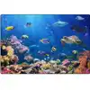Explore the Ocean Rug