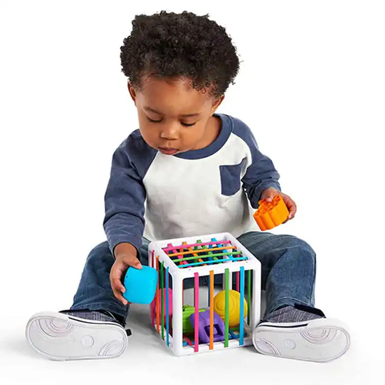 Building Baby's Brain Collection