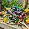 Flower Bowls