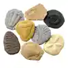 Fossil Stones