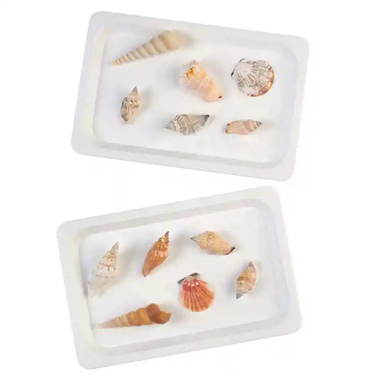 White Plastic Trays Set