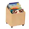 Big Book Storage Bin