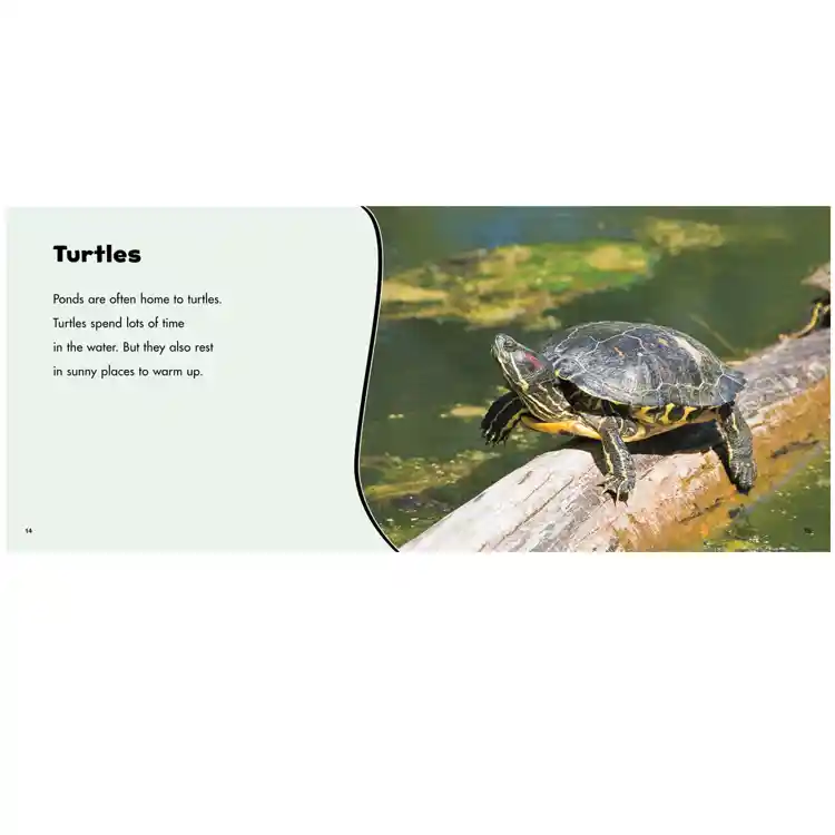 Habitats Around the World