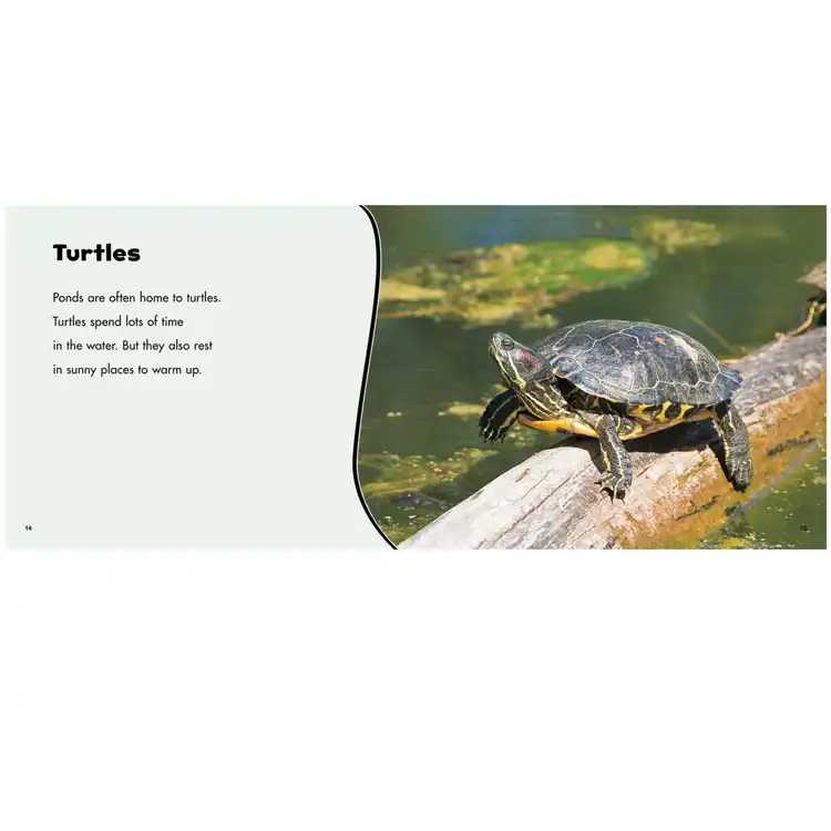 Habitats Around the World