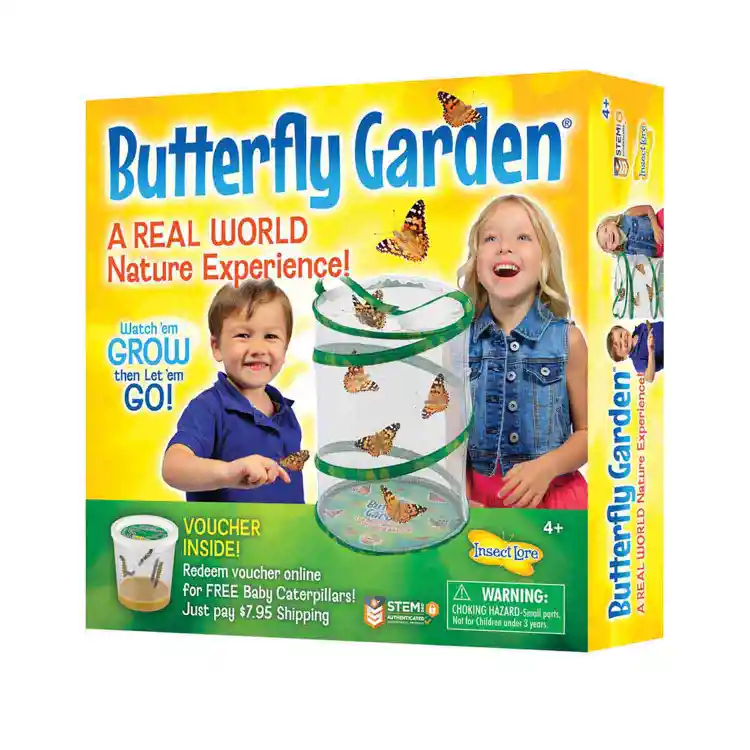 Butterfly Garden