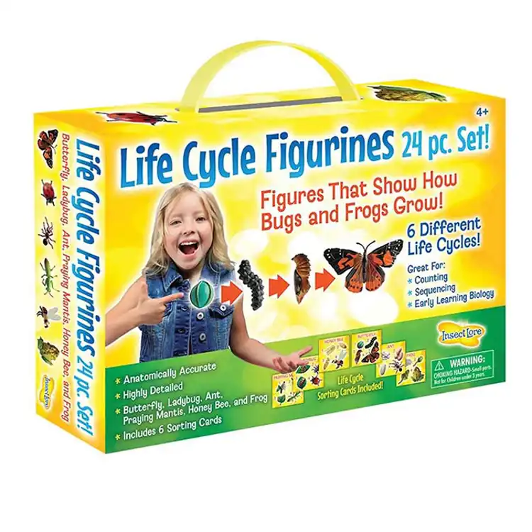 Life Cycle Figurines Classroom Set