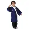 Japanese Boy Ceremonial Costume