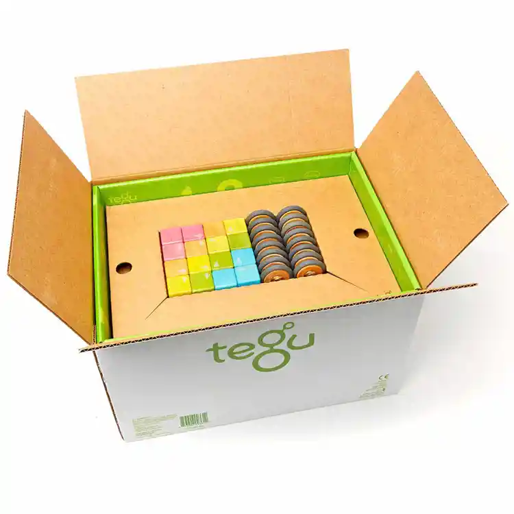 Tegu Classroom Set