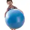 Activity Ball, 26"