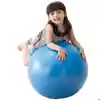 Activity Ball, 26"