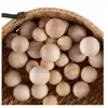 Kodo Wooden Balls