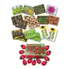 Ladybug Count Stones & Number Cards Set