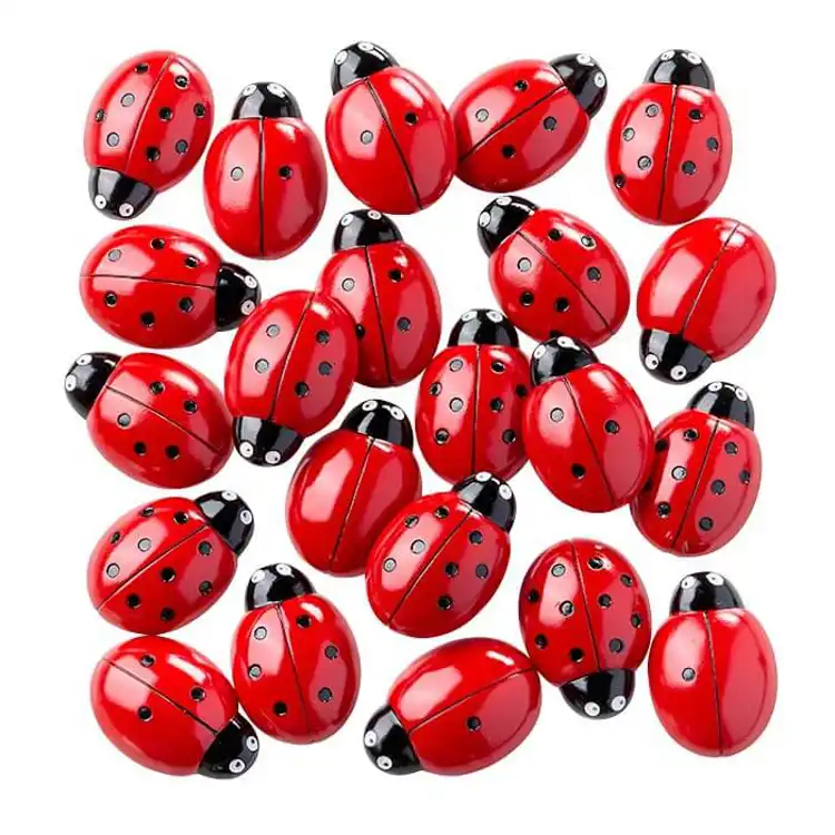 Ladybug Counting Stones