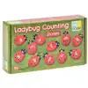 Ladybug Counting Stones