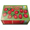 Ladybug Counting Stones