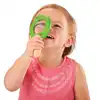 Leaf Magnifiers, Set of 4