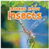Learning About Insects