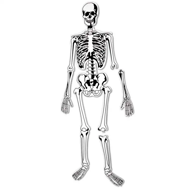 Skeleton Floor Puzzle