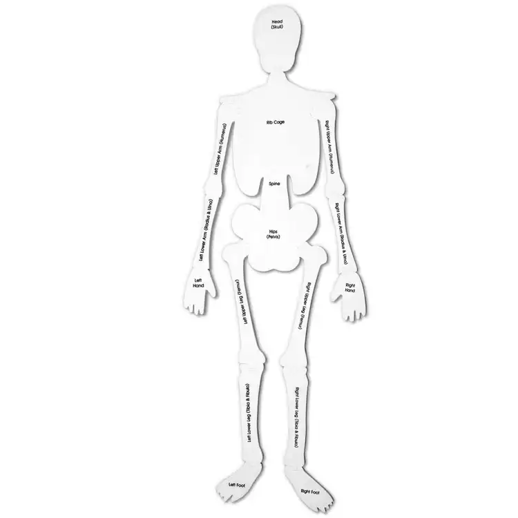 Skeleton Floor Puzzle