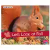 Let's Look at Fall