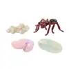 Life Cycle Figurines Classroom Set