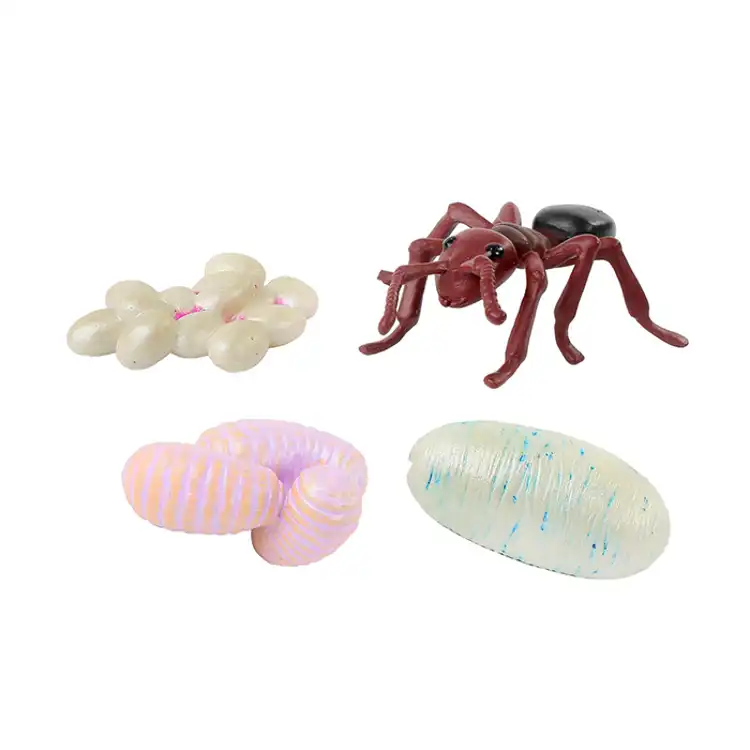 Life Cycle Figurines Classroom Set