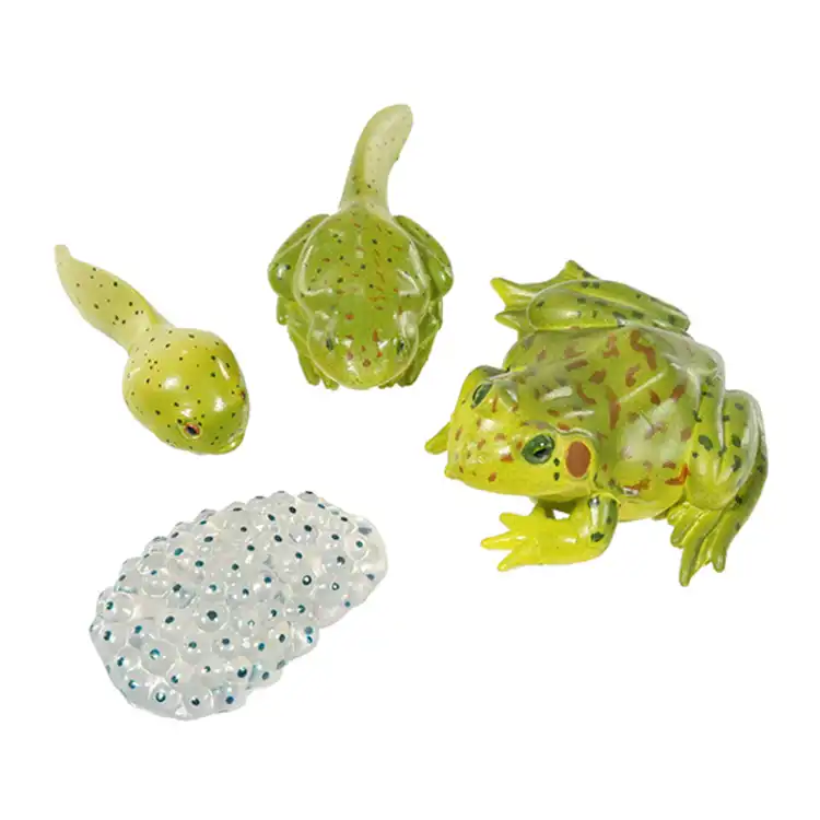 Life Cycle Figurines Classroom Set