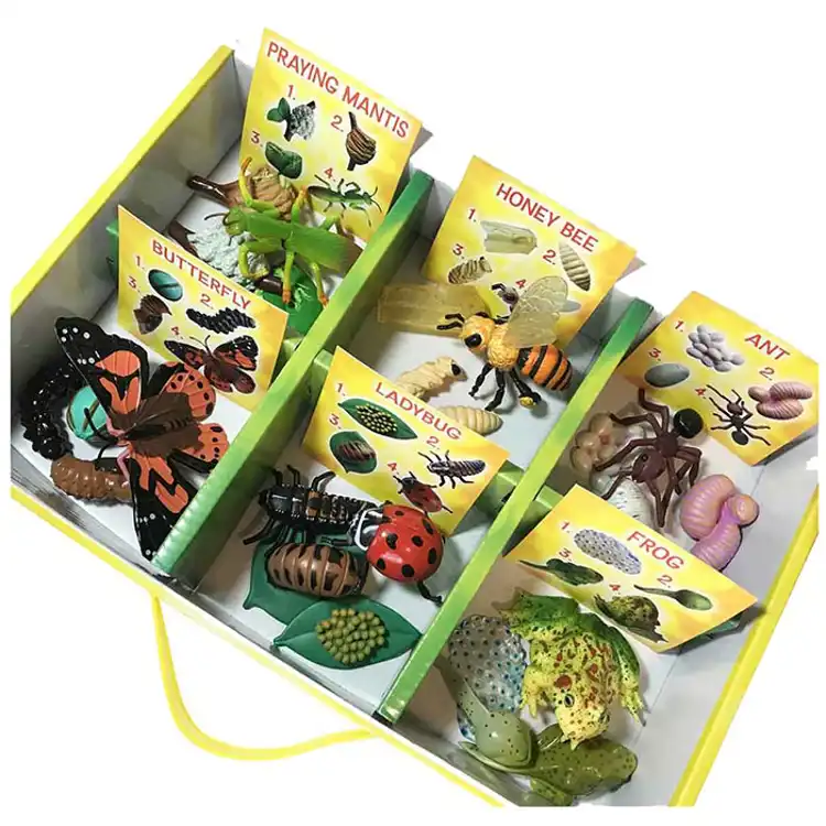 Life Cycle Figurines Classroom Set