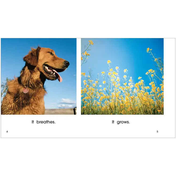 Living or Nonliving Book Set