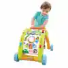 3-in-1 Activity Walker