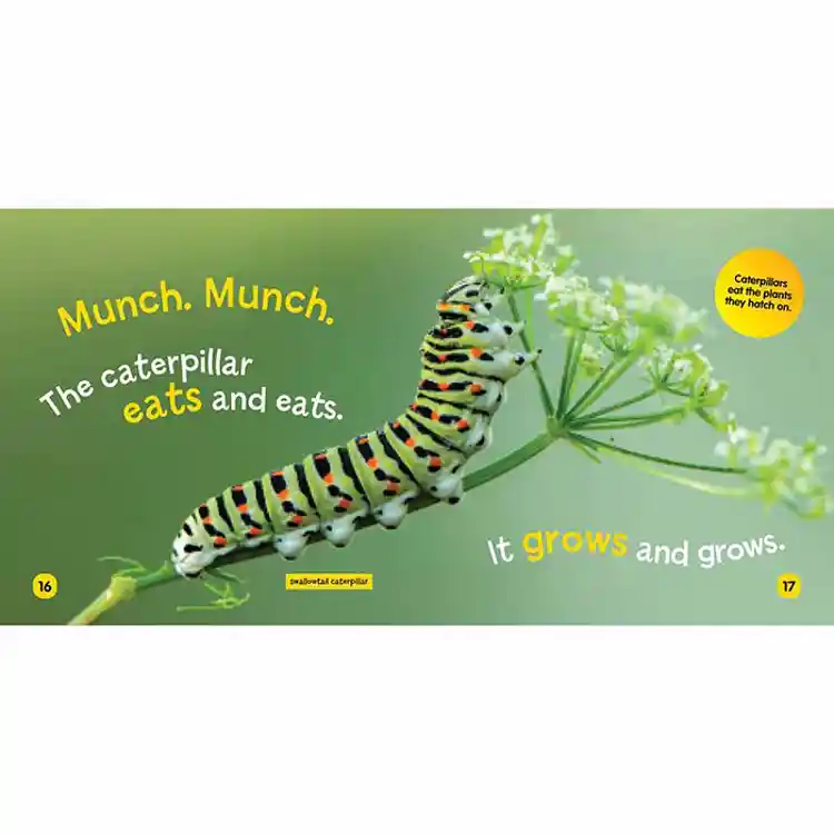 My First Science Book Set