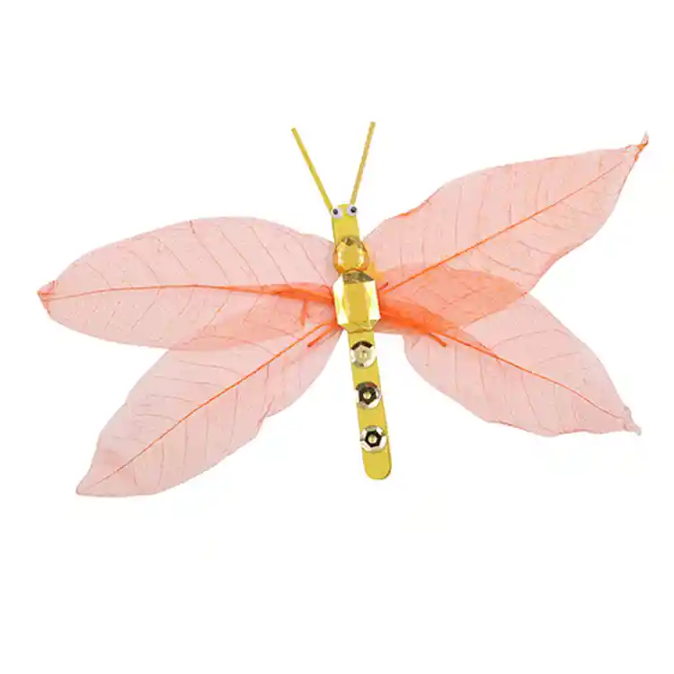 Naturals Discovery Set