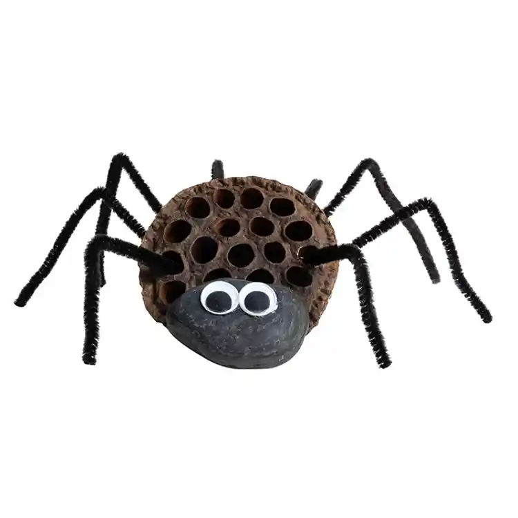 Naturals Woodland Wonders Set