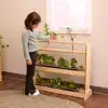 Nature Discovery Shelf