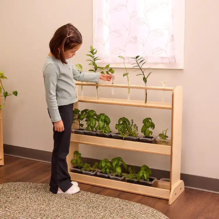 Nature Discovery Shelf
