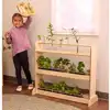 Nature Discovery Shelf