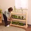 Nature Discovery Shelf
