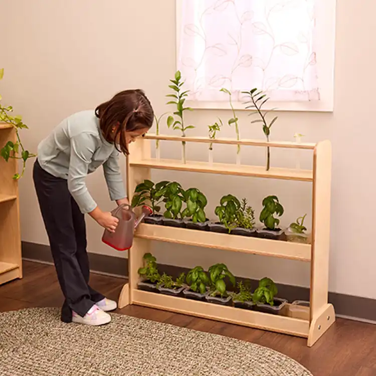 Nature Discovery Shelf