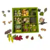 Nature's Sorting Box