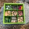 Nature's Sorting Box
