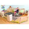 Nature View Room Divider Gate
