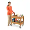 Outdoor Art Supply Cart