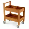 Outdoor Art Supply Cart