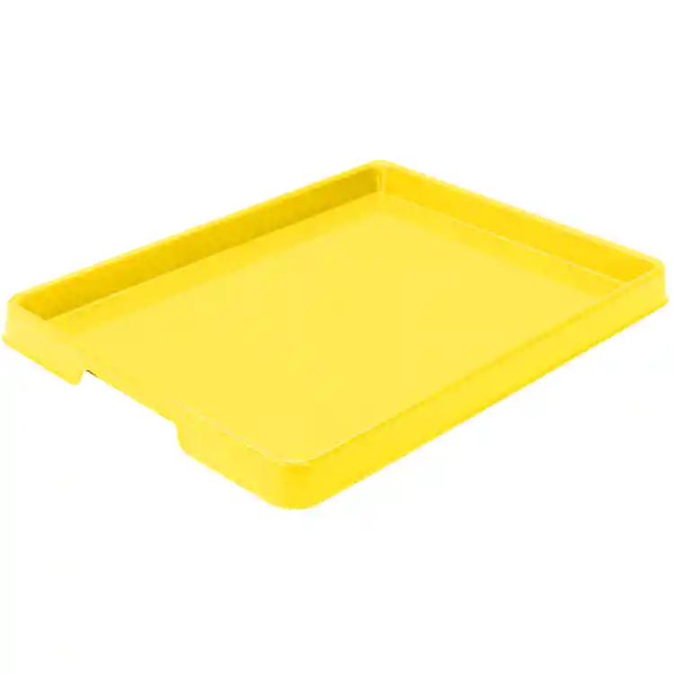 Large Paint Trays