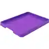 Large Paint Trays