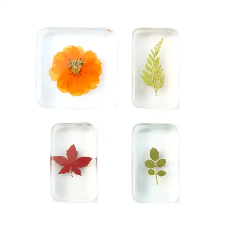 Plant Life Specimen Set