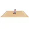 Portrait Classroom Rugs