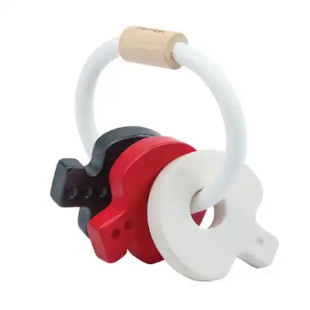 High Contrast Key Rattle