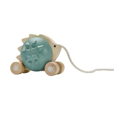 Pull-Along Hedgehog