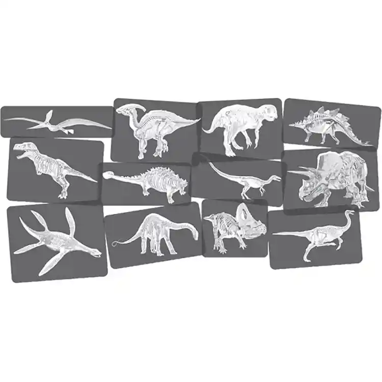 Dinosaur Picture Cards & X-Rays